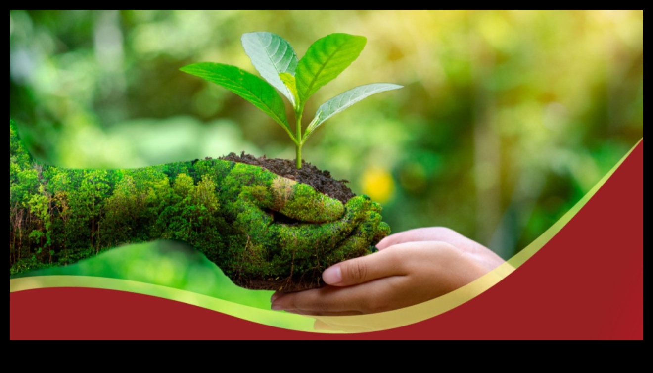 Hrănirea darurilor naturii: Esența grădinăritului organic