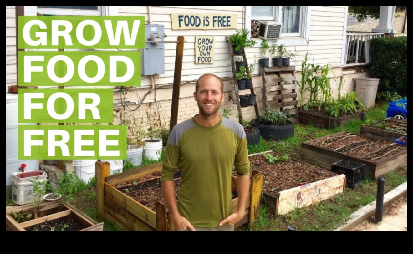 METROPOLITAN GREEN GREEN: Urban Gardening Hacks
