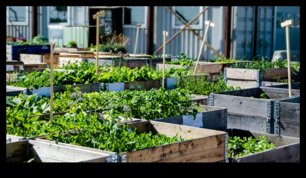 METROPOLITAN GREEN GREEN: Urban Gardening Hacks