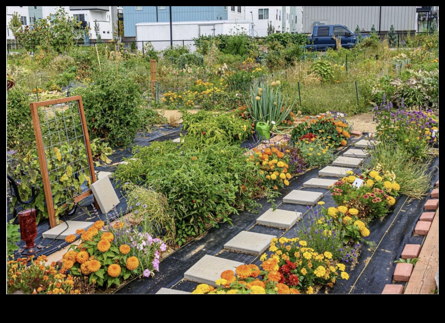 METROPOLITAN GREEN GREEN: Urban Gardening Hacks