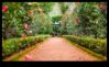 Garden Harmony Obținerea frumuseții și eficienței în îngrijirea grădinii