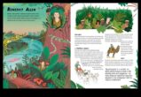 Îngerii aventurieri Pregătește-te pentru explorări îndrăznețe